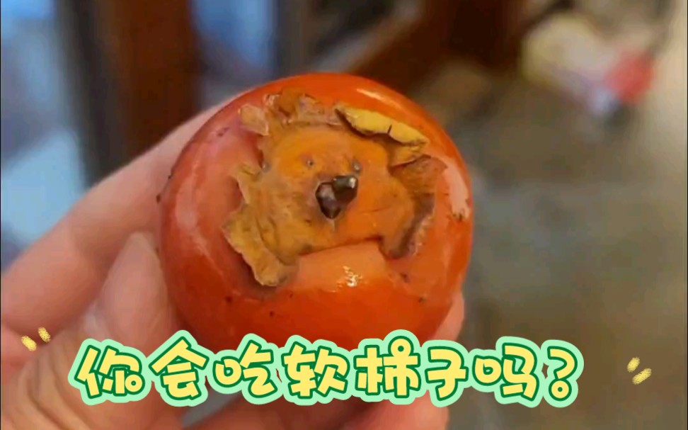 软柿子你会捏,会吃吗?
