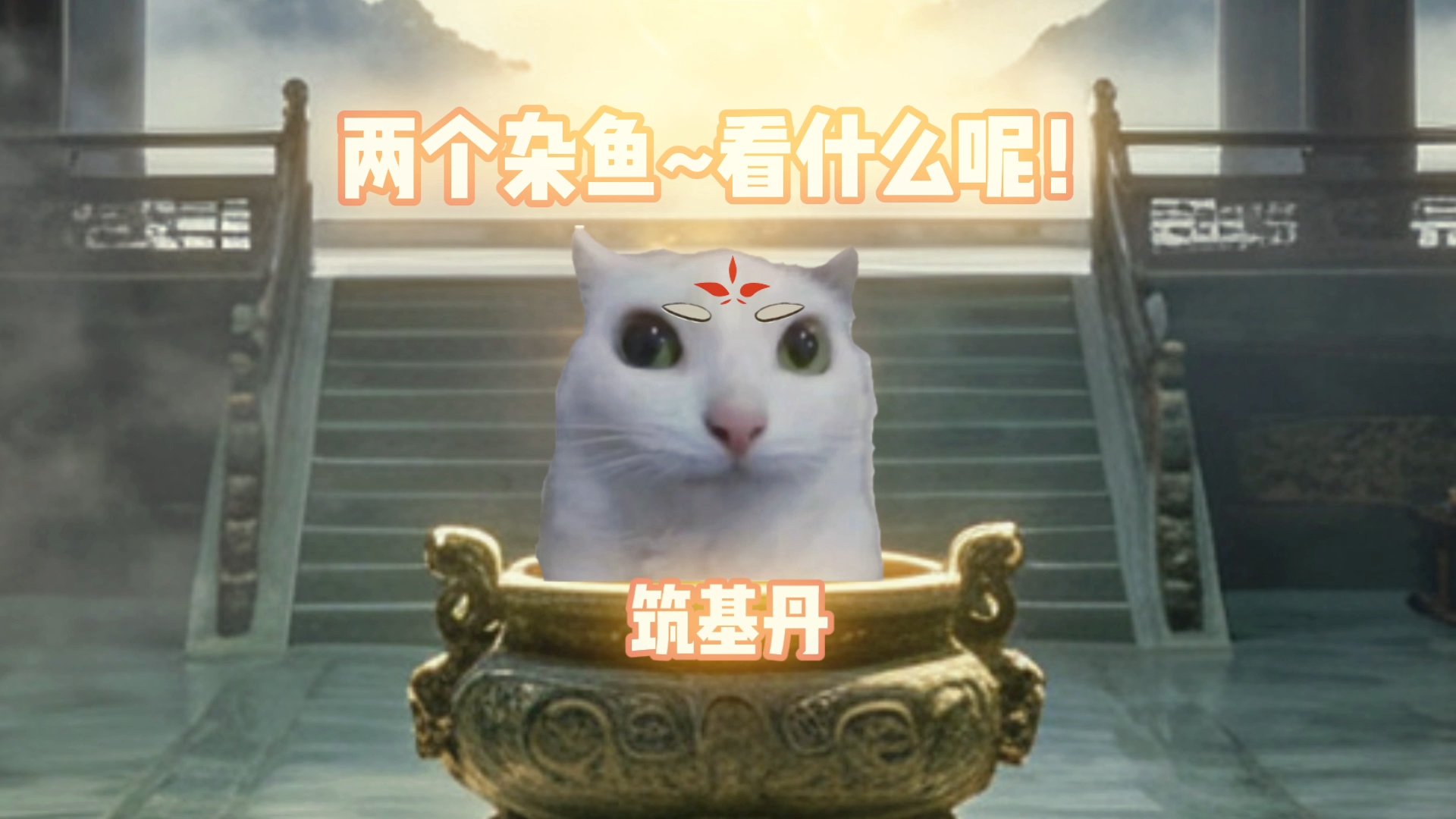 什么叫筑基丹太久没用她自己化形了？