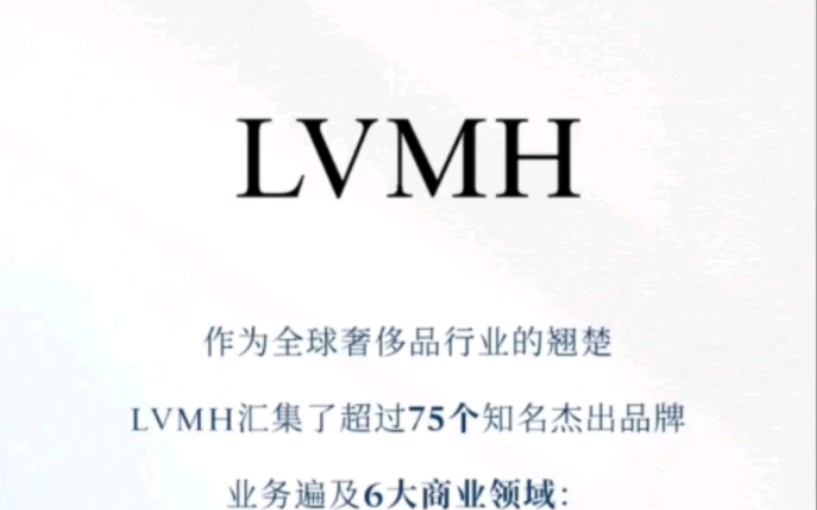 奢侈品行业翘楚!LV母公司LVMH路易酩轩管培生招聘进行中!哔哩哔哩bilibili