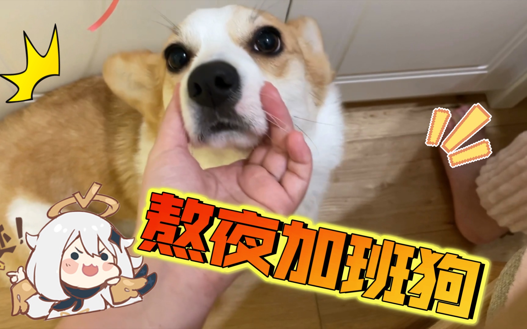 只要我加班 狗子就是熬夜加班狗.