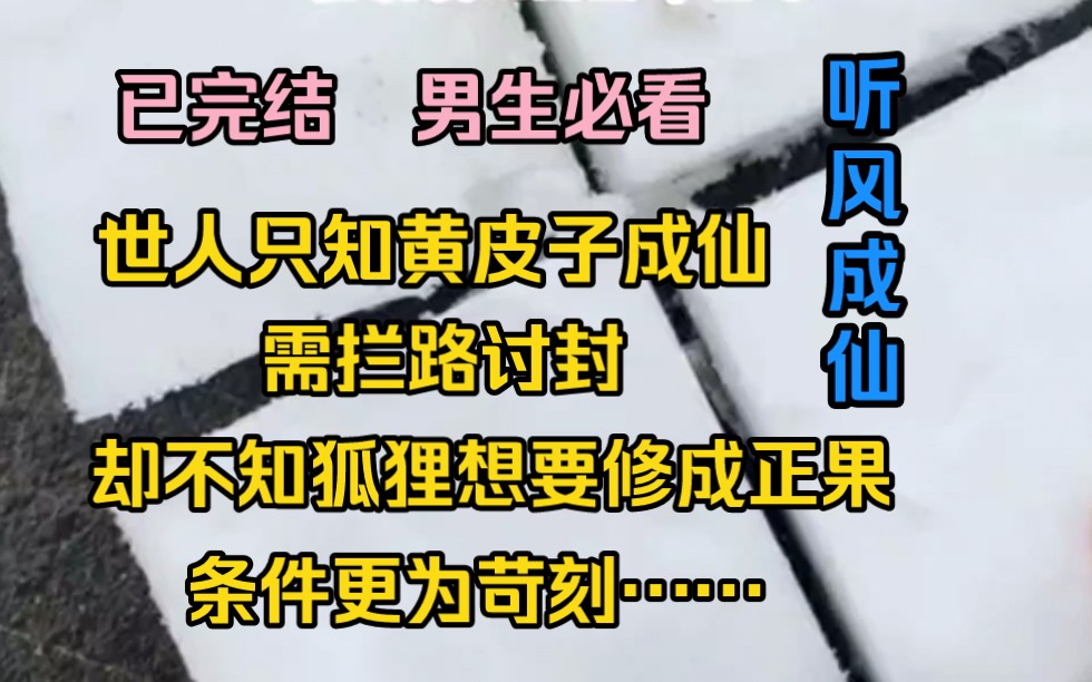 《听风成仙》世人只知黄皮子成仙需拦路讨封,却不知狐狸想要修成正果,条件更为苛刻……哔哩哔哩bilibili