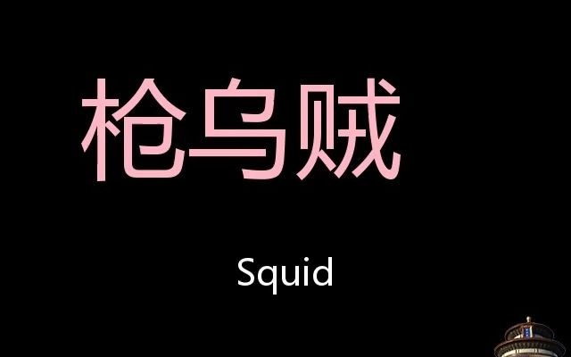 枪乌贼 Chinese Pronunciation Squid