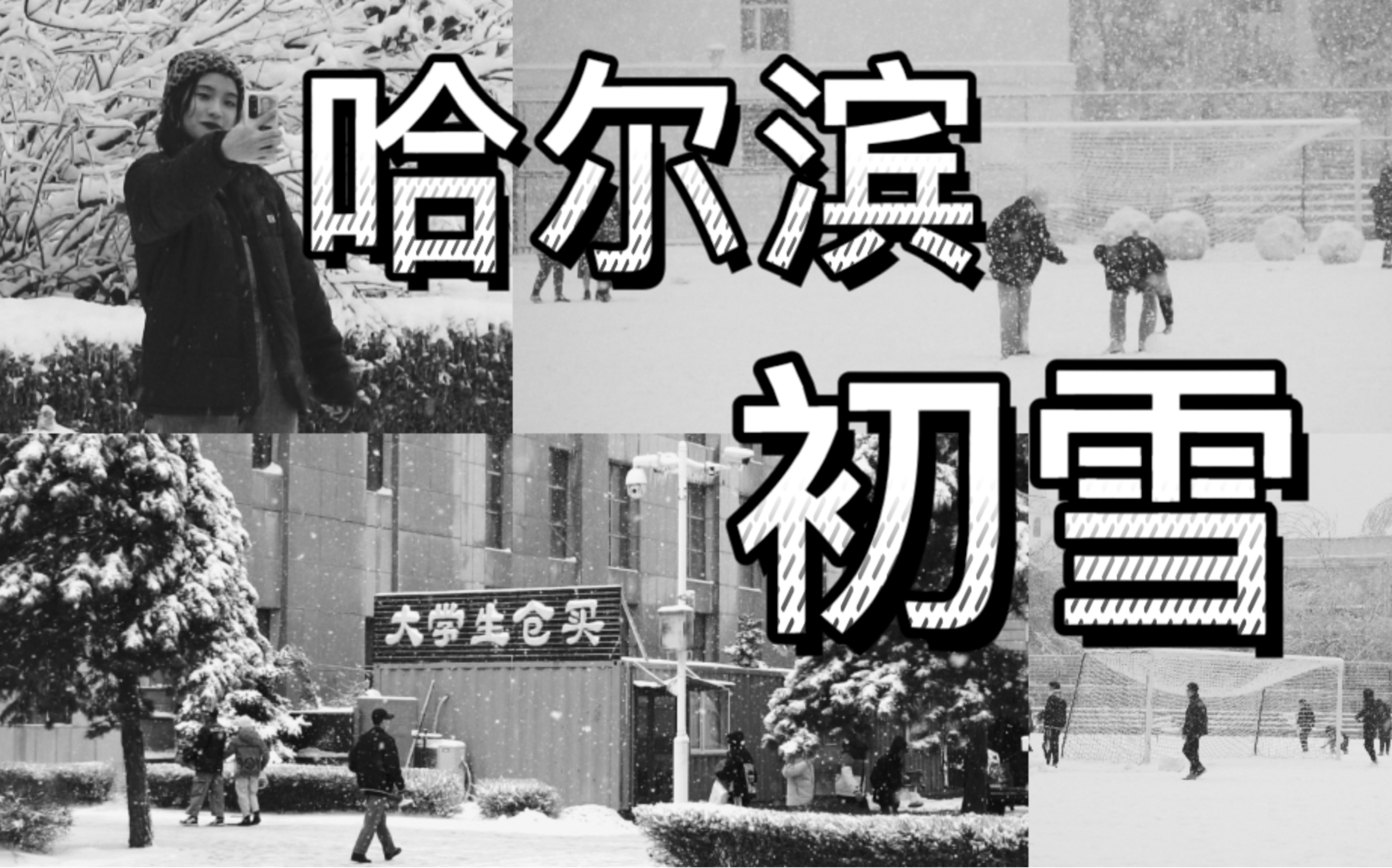 【哈尔滨】初雪哔哩哔哩bilibili