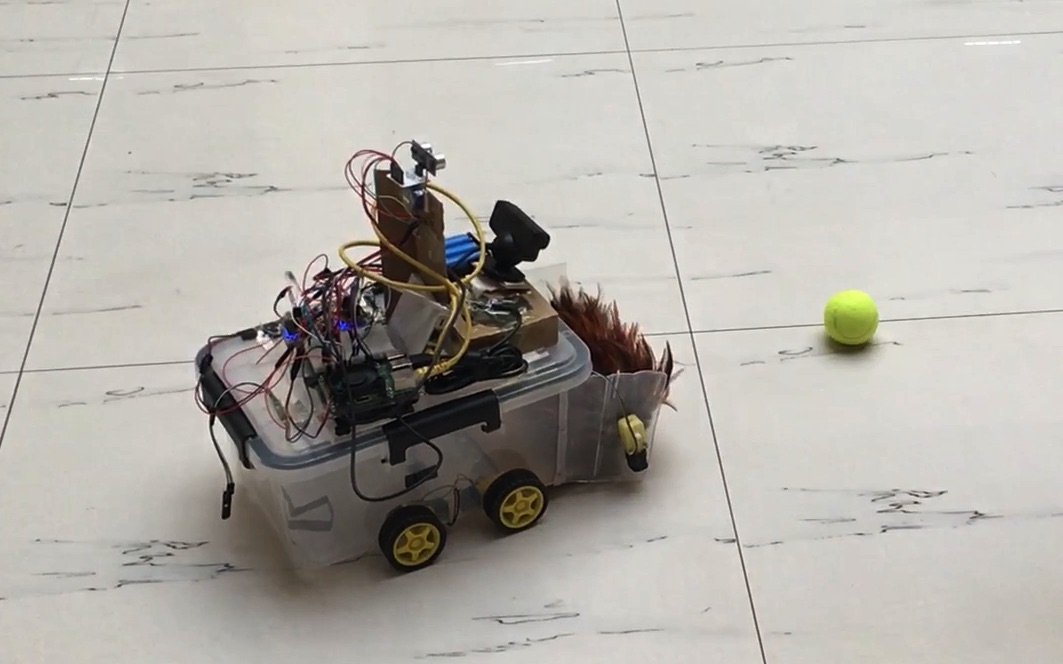 基于机器视觉与神经网络的捡球机器人演示