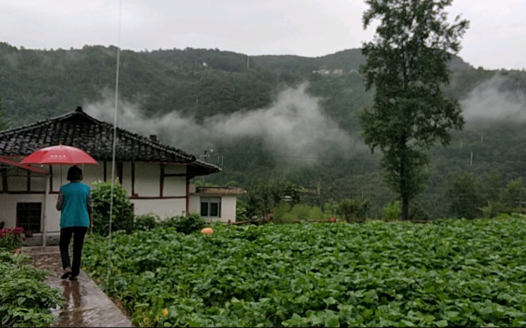 巴山夜雨涨秋池哔哩哔哩bilibili