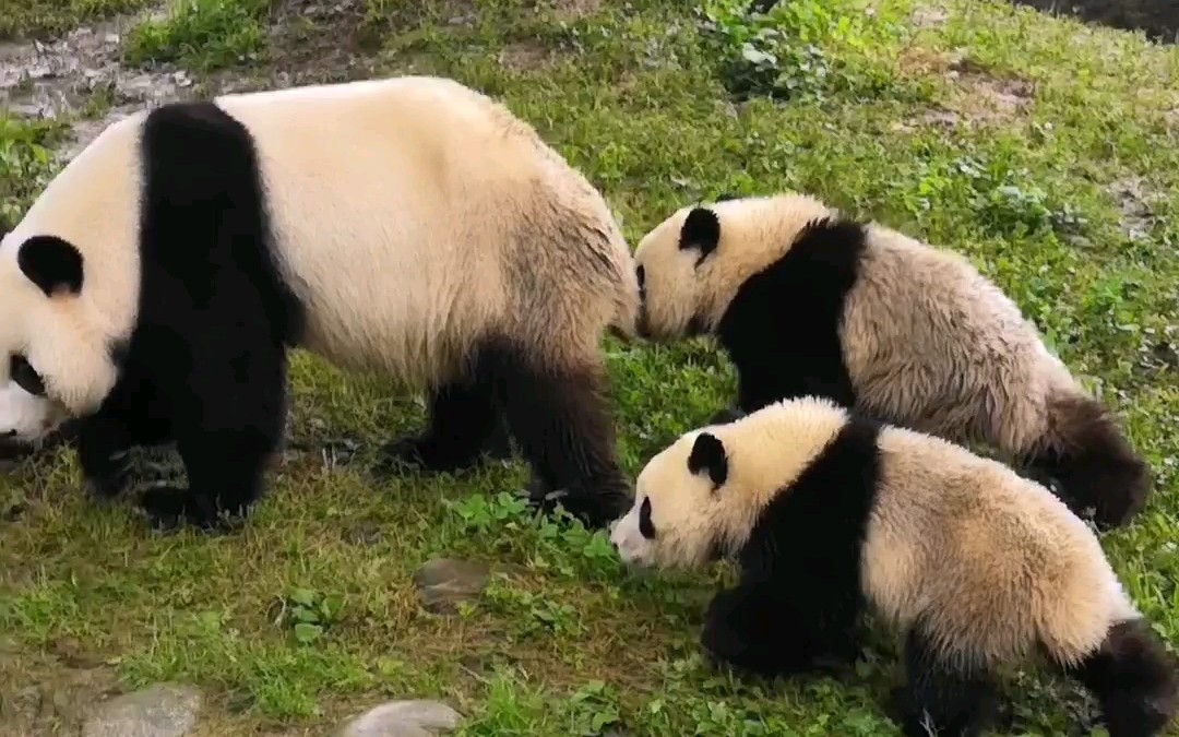 心念念