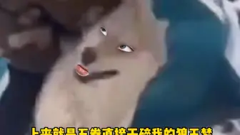 五拳干碎狼王梦