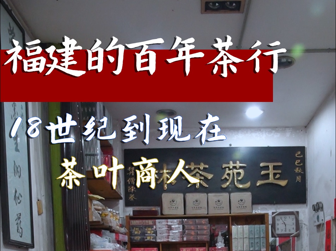 福建泉州百年茶行,玉苑茶行,是为什么 能开百年?哔哩哔哩bilibili