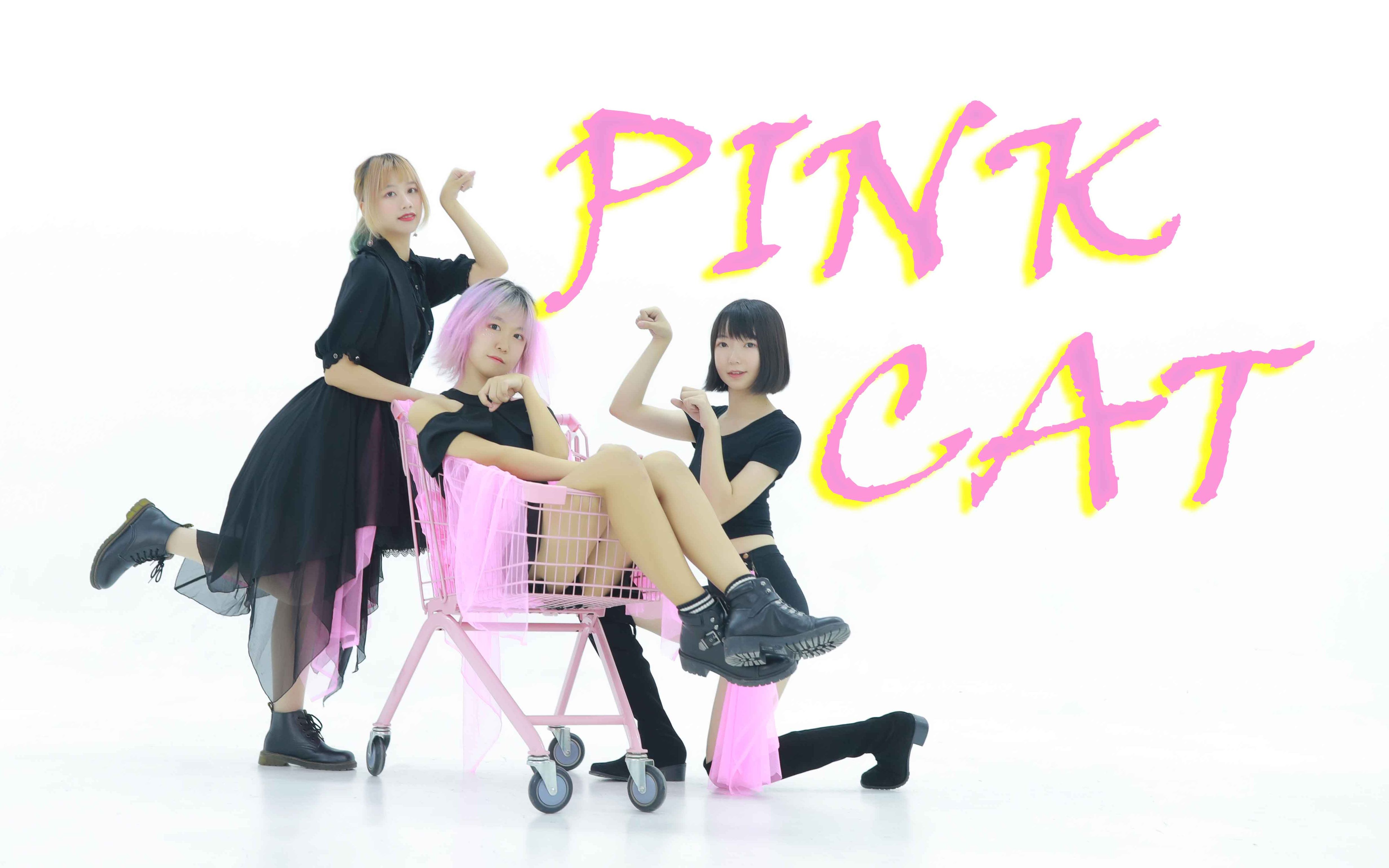 【艾飞xTGx微尘】pink cat【翻跳企划 第三弹!】哔哩哔哩bilibili