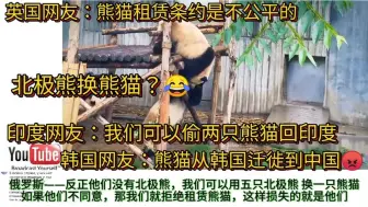 Download Video: 外网热评熊猫，俄罗斯网友：我们用五只北极熊换一只熊猫。