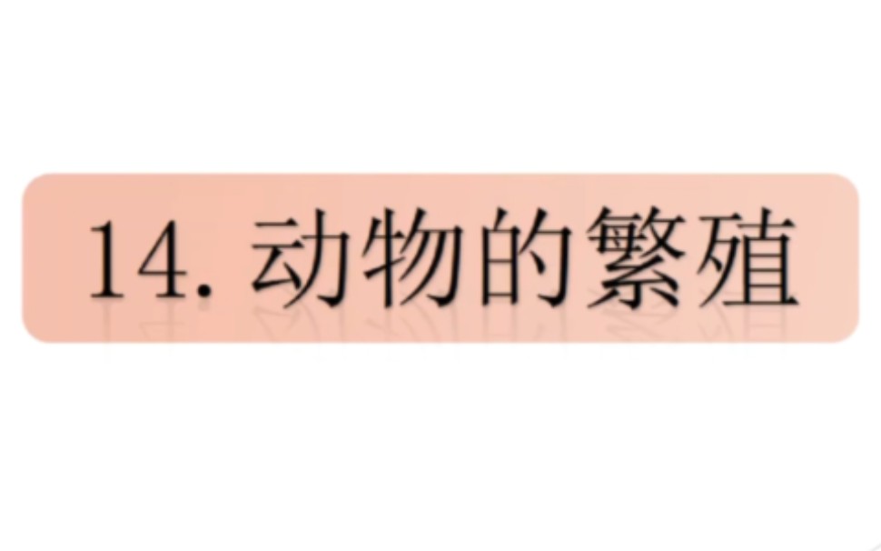 线上教学——小学科学苏教版四年级下册《动物的繁殖》哔哩哔哩bilibili