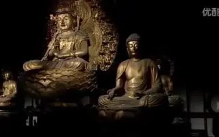 东寺 搜索结果 哔哩哔哩 Bilibili