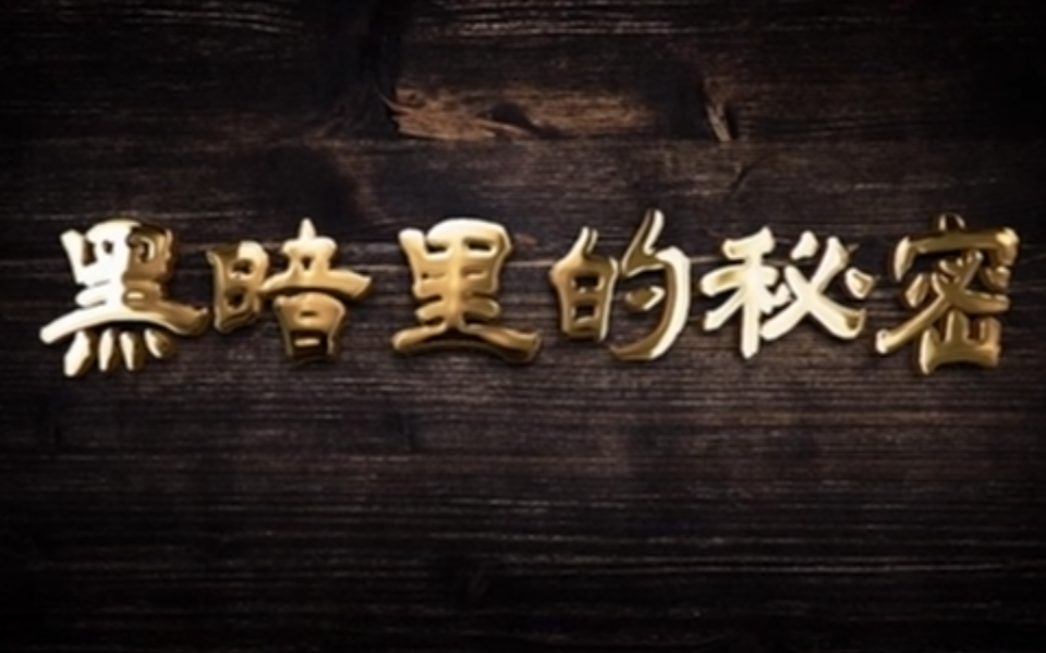 黑暗里的秘密 30集