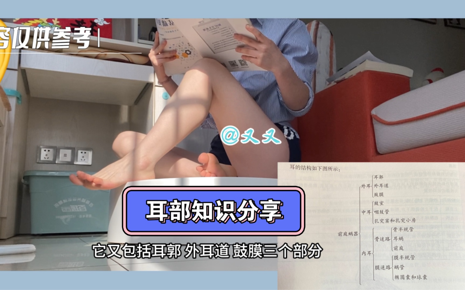 耳部知识分享 仅供参考哔哩哔哩bilibili