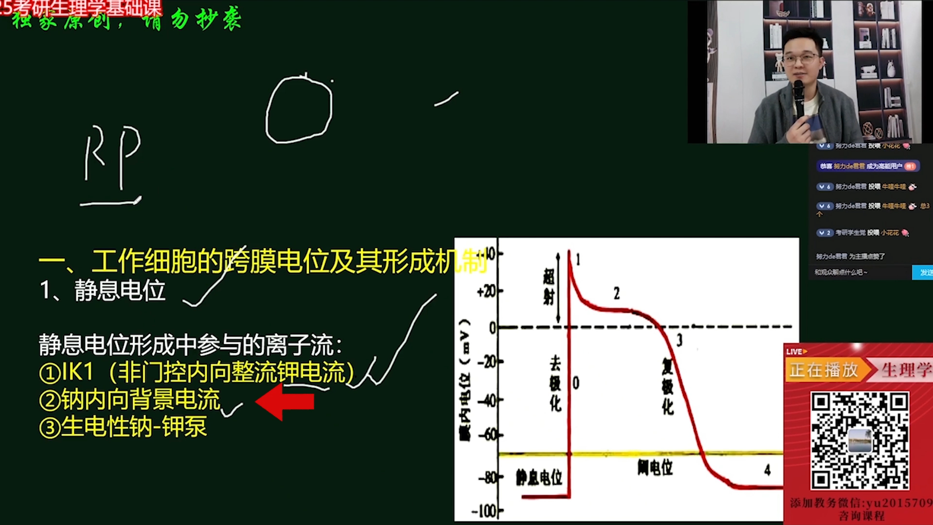 生理知识点:静息电位