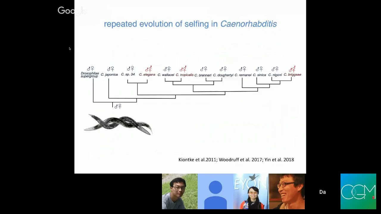 CGM第三十三期:尹达博士《比较基因组发现线虫控制性选择的新基因家族》哔哩哔哩bilibili