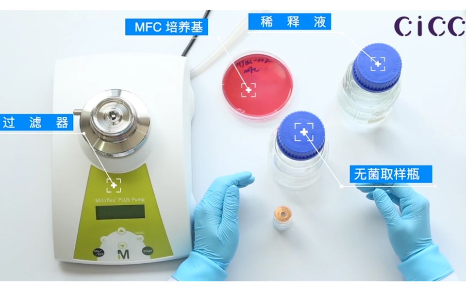 活动作品cicc在线课堂水质微生物实验操作演示滤膜法