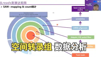 时空云课堂 | 大牛讲解时空组学数据基本处理流程及原理-从reads到表达矩阵