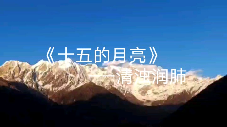 【音药】清浊润肺——《十五的月亮》哔哩哔哩bilibili