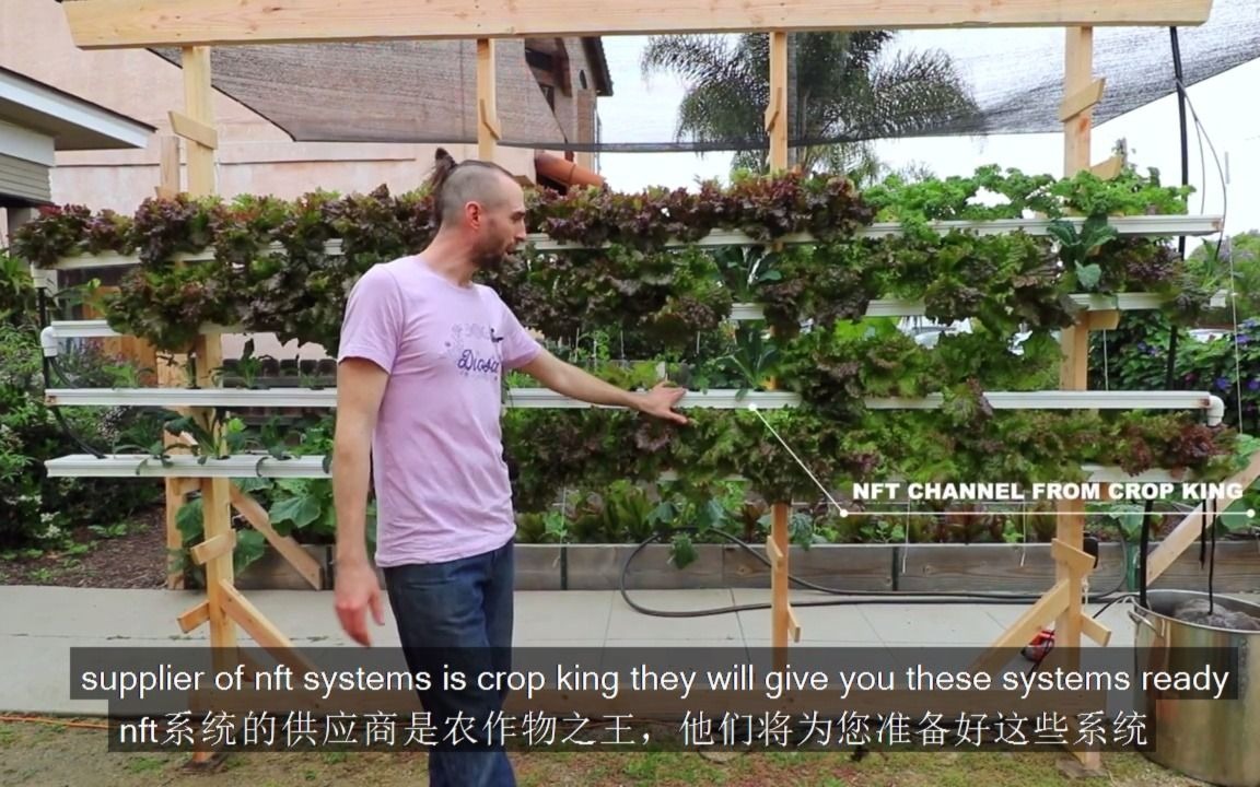 [图]DIY你能够建设的简单垂直水培菜园系统（无土栽培）