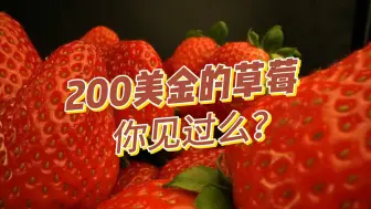 Download Video: 啥草莓200美元一斤阿？一个视频带你解读OPENAI新发布的草莓模型（Strawberry AI）到底是个啥？