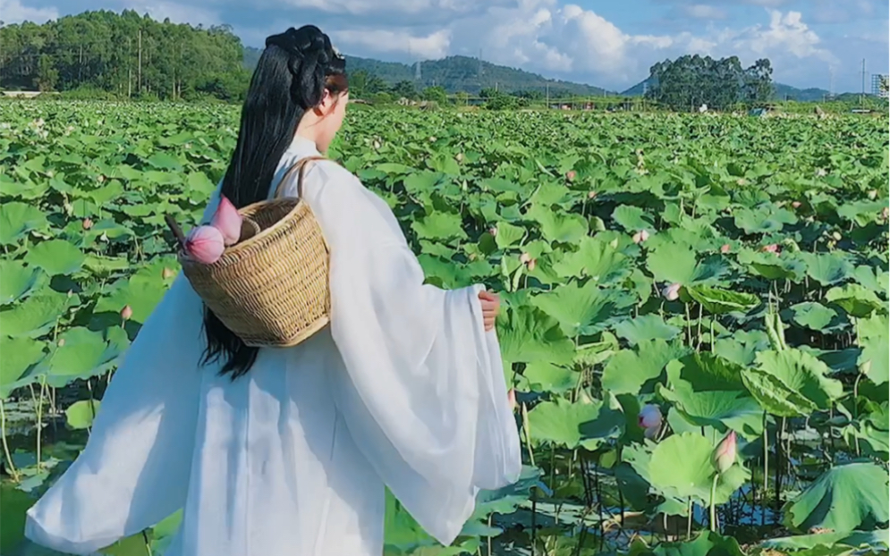 [图]仙气飘飘采莲女