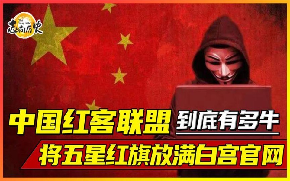 中国红客联盟有多牛?八万网友对老美黑客,五星红旗铺满白宫官网哔哩哔哩bilibili