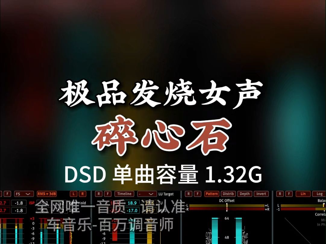 伤感歌曲,极品发烧女声《碎心石》DSD完整版1.32G,百万调音师专业录音棚制作,顶级hifi无损音质哔哩哔哩bilibili