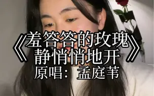 吉他弹唱：《羞答答的玫瑰静悄悄地开》