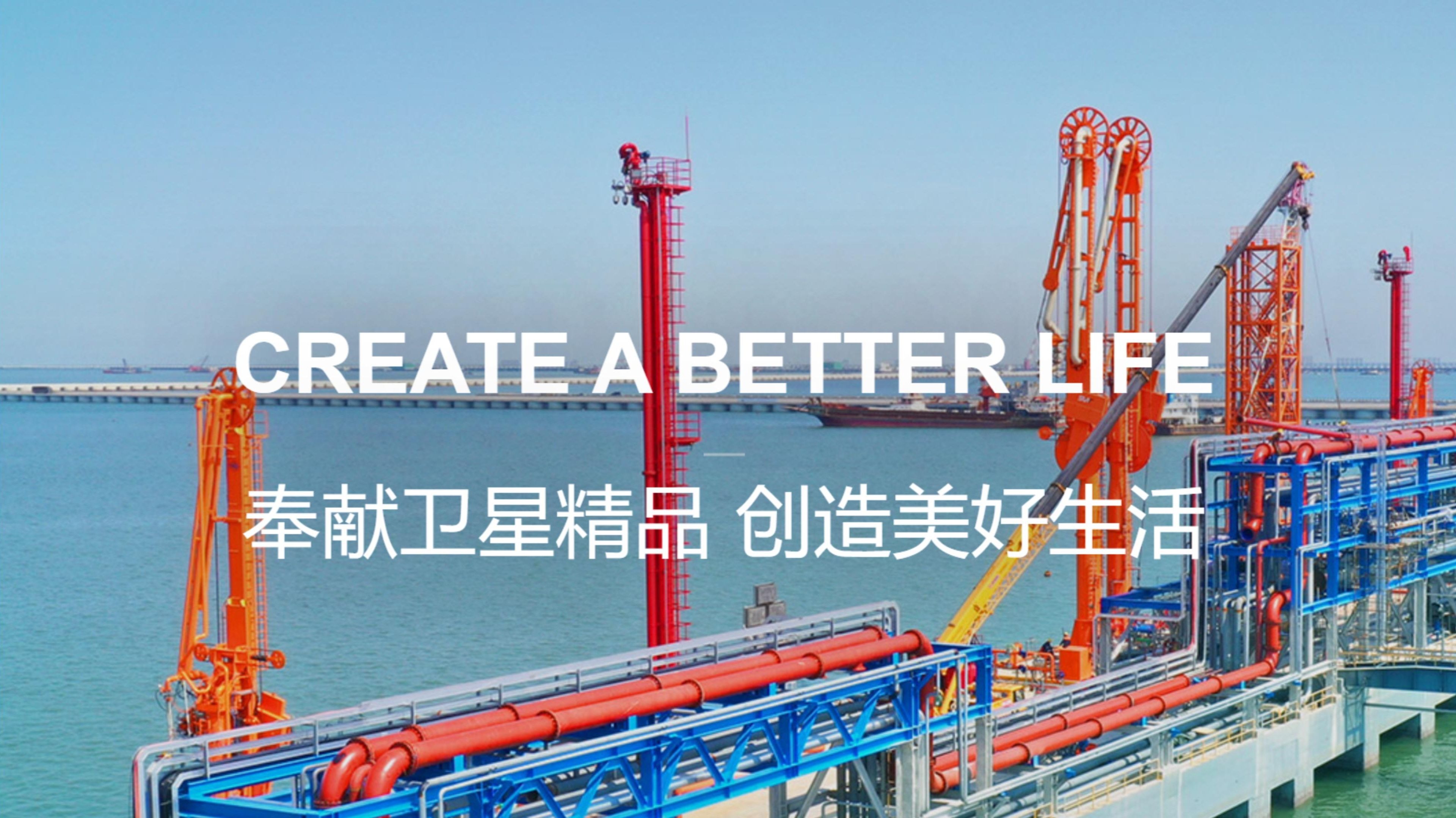 卫星石化002648:绿色化工行业领军者