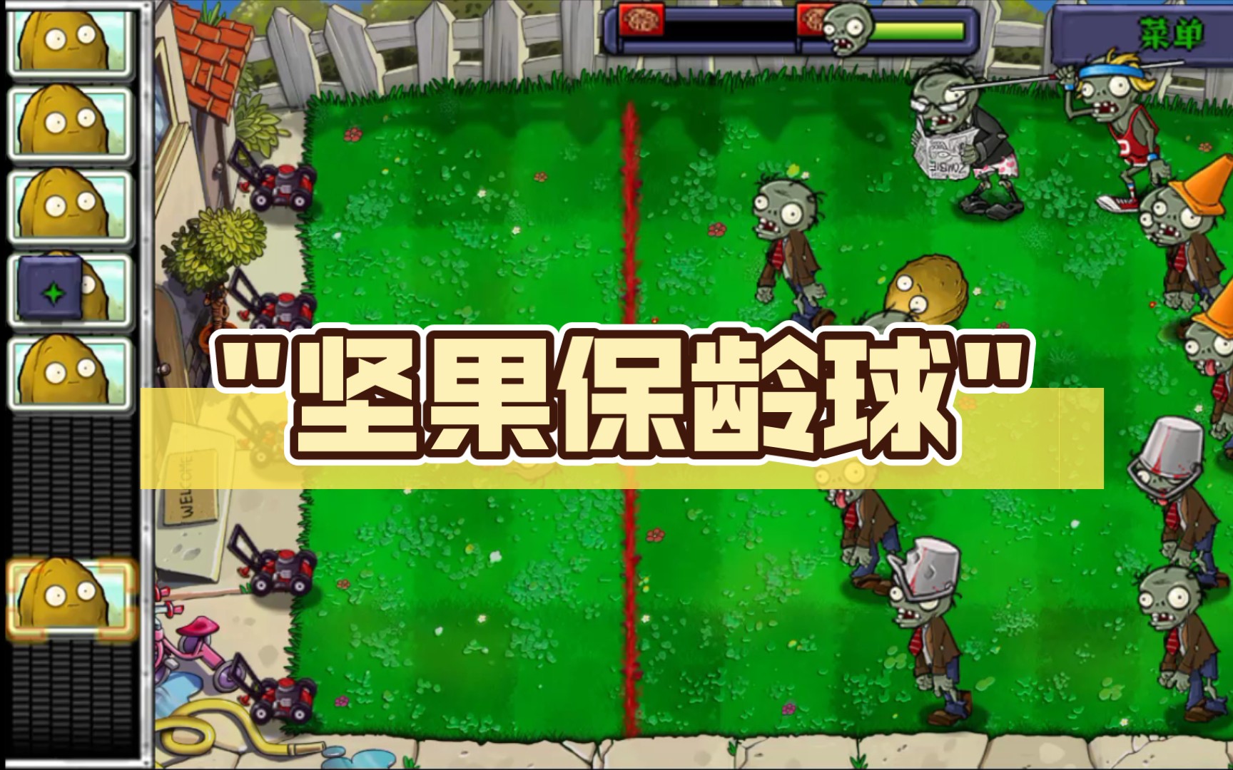 植物娘大战僵尸-坚果保龄球