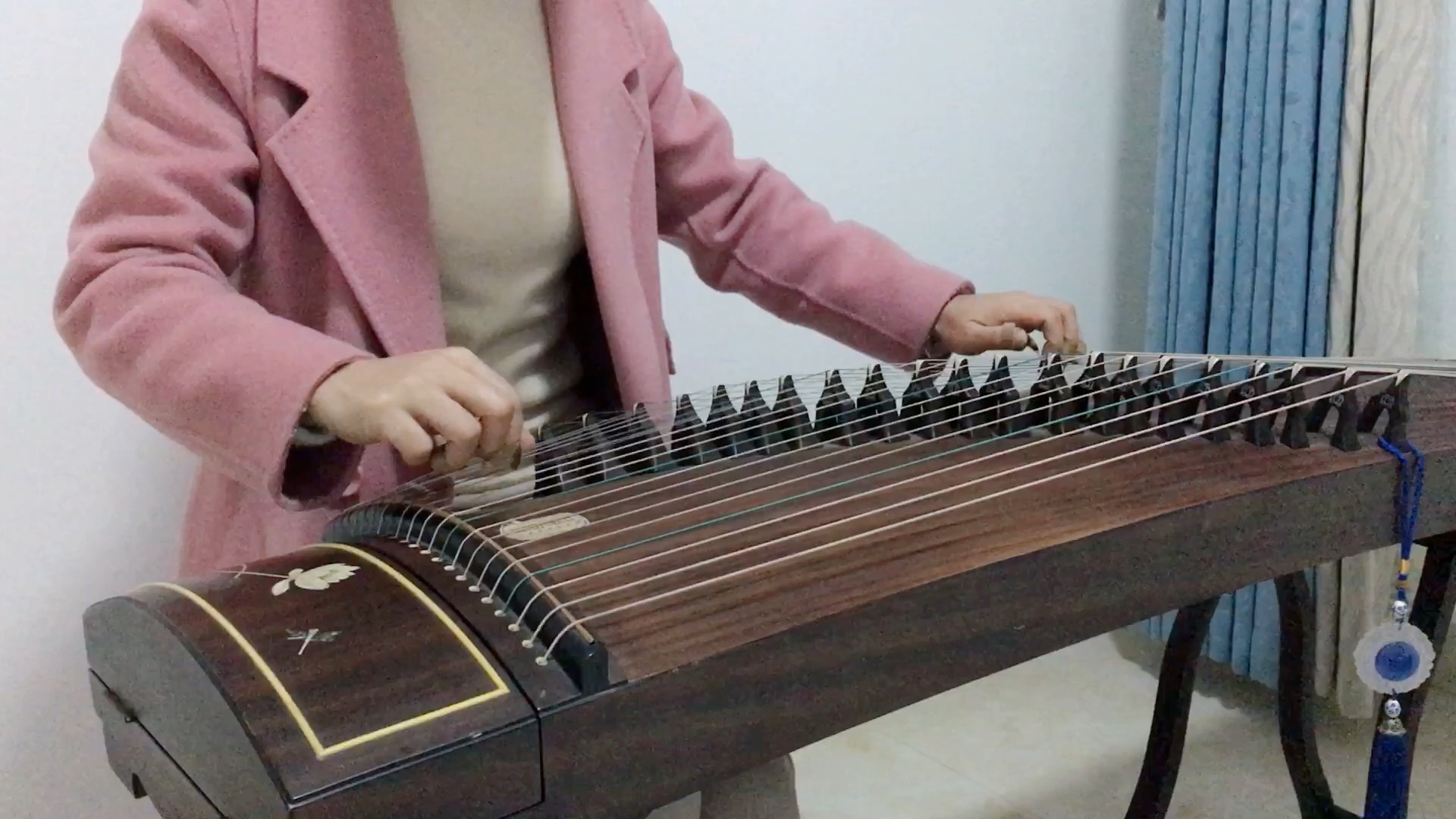 古筝入门 小撮《菊花台》