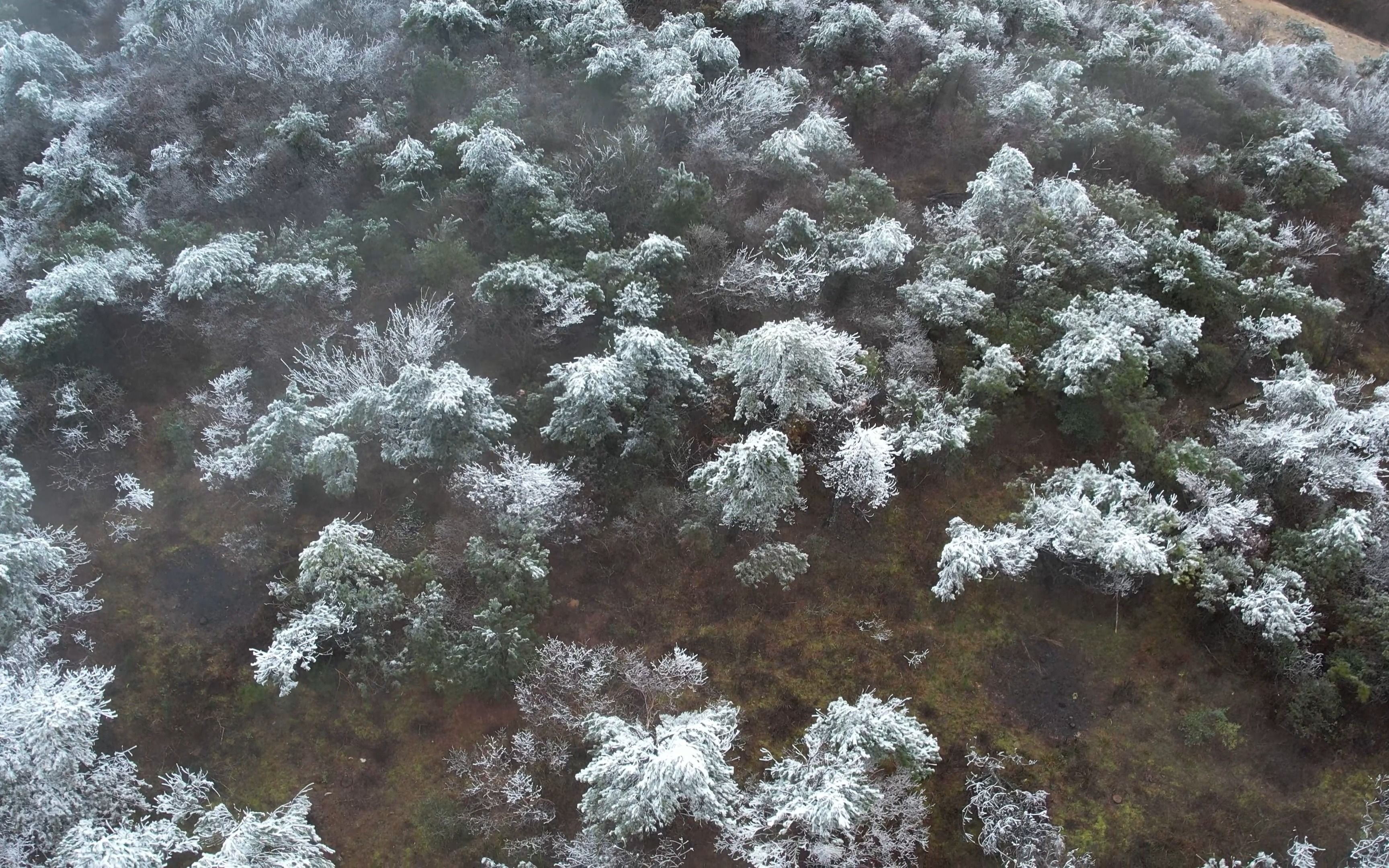 台州的冬季雾凇雪景很快要来了,28日气温2度大家关注下天气,南方浙江