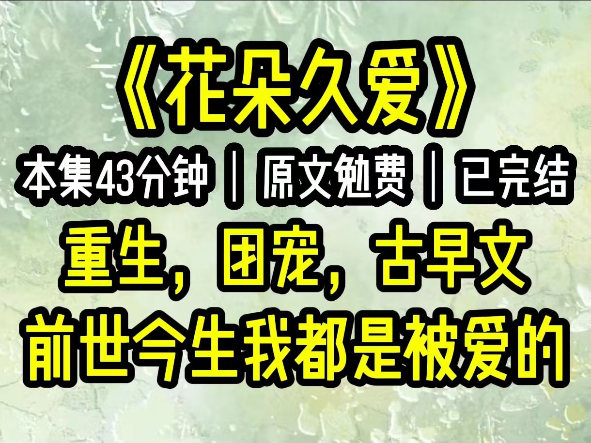 [图]8月21日花朵久爱