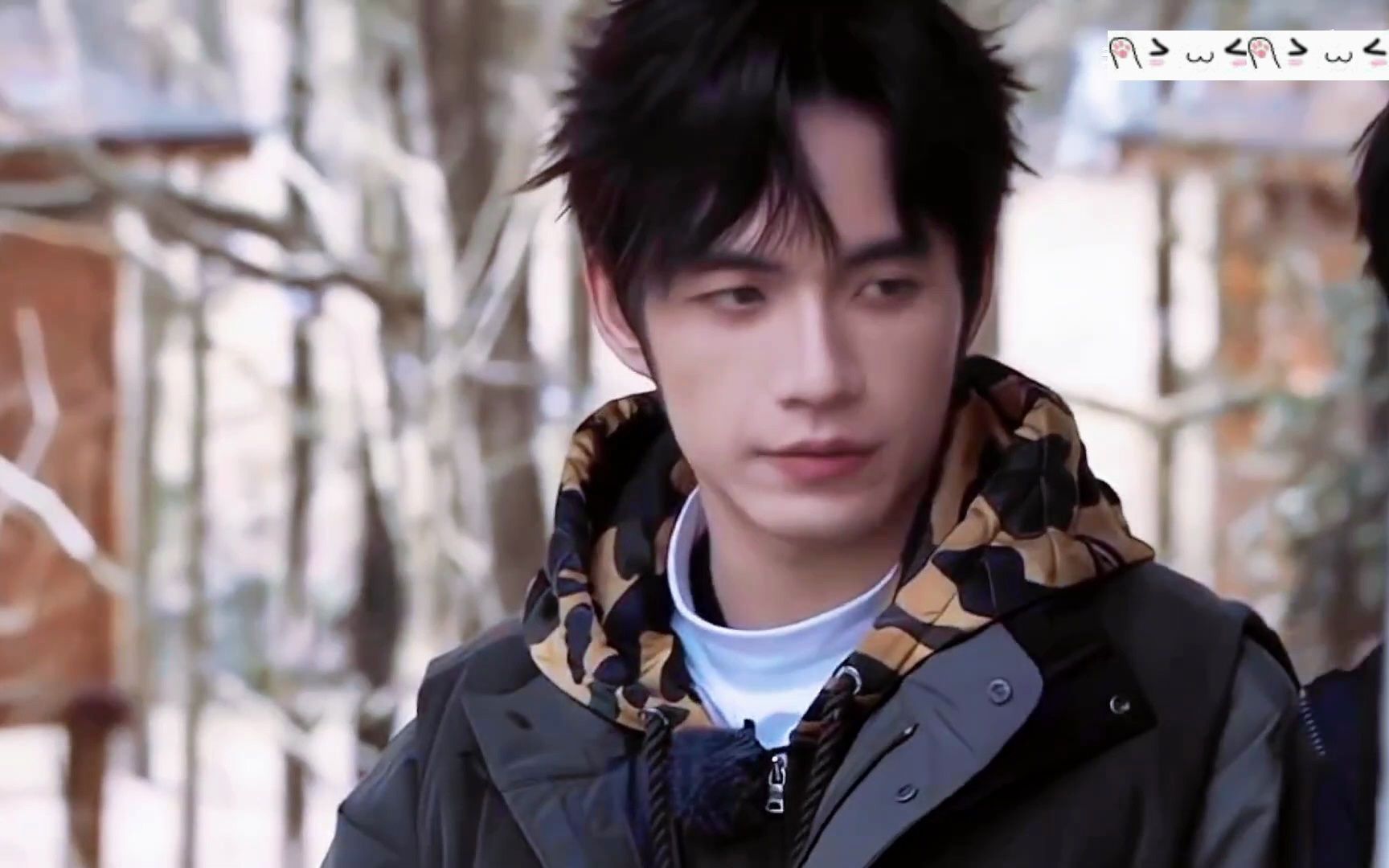 【笨蛋帅哥】张颜齐怎么这么搞笑!一个被综艺之神眷顾的人!