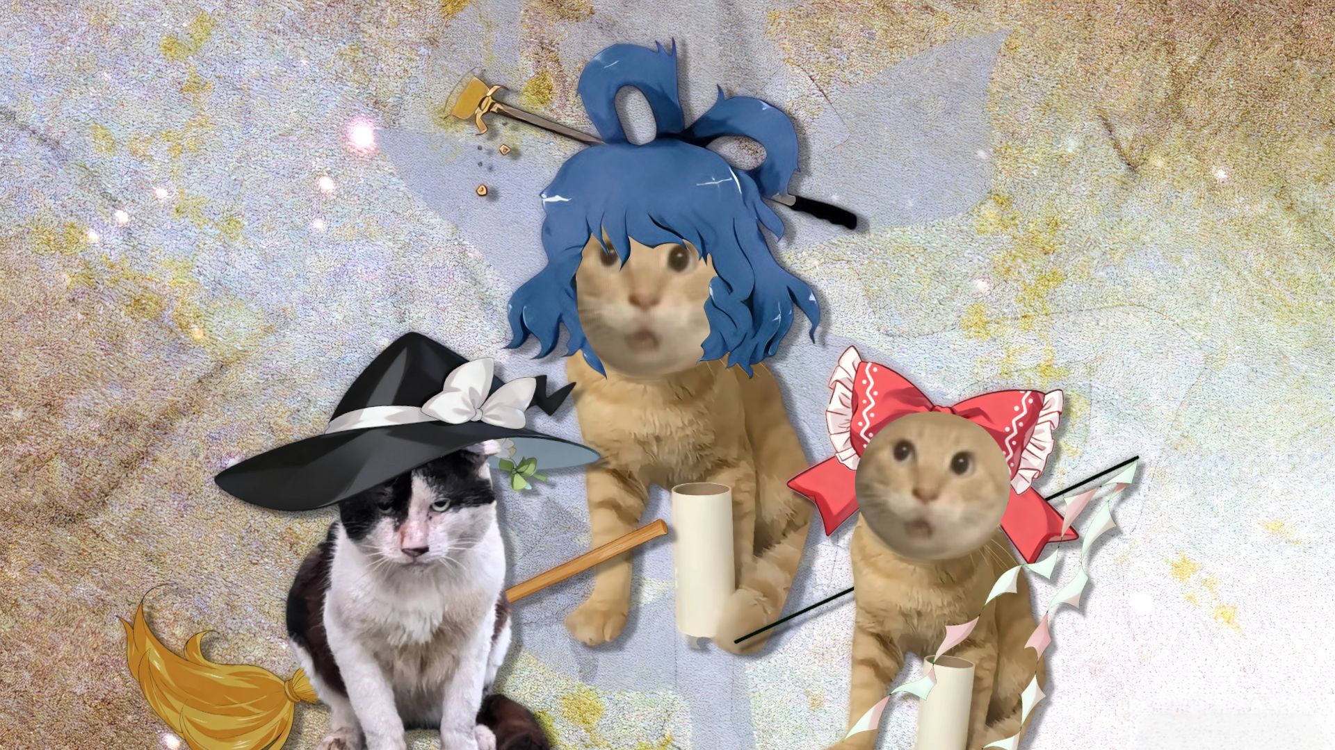 🐱欲望哈速🐱