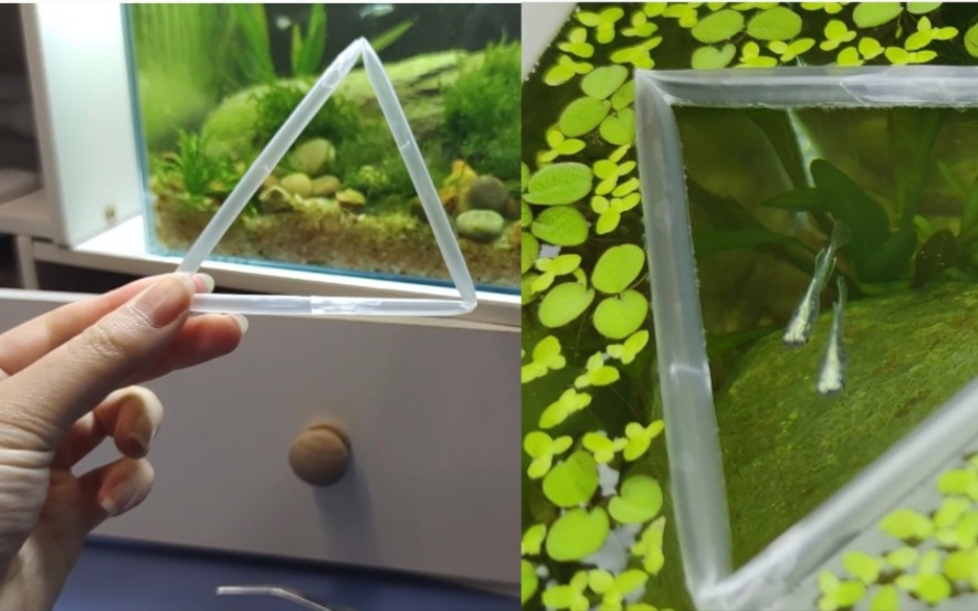 【教程】饮料吸管制作鱼缸喂食圈/浮萍隔离圈,只需要手和吸管,非常