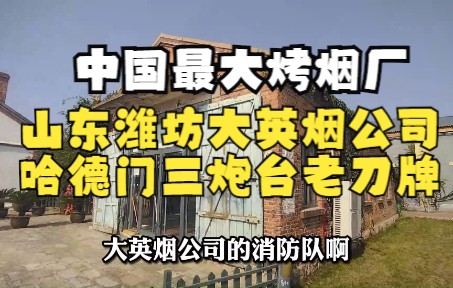 中国保存最完整,规模最大的烤烟厂,山东潍坊大英烟公司旧址,哈德门,三炮台,大前门等知名香烟产地,始建于1917年哔哩哔哩bilibili