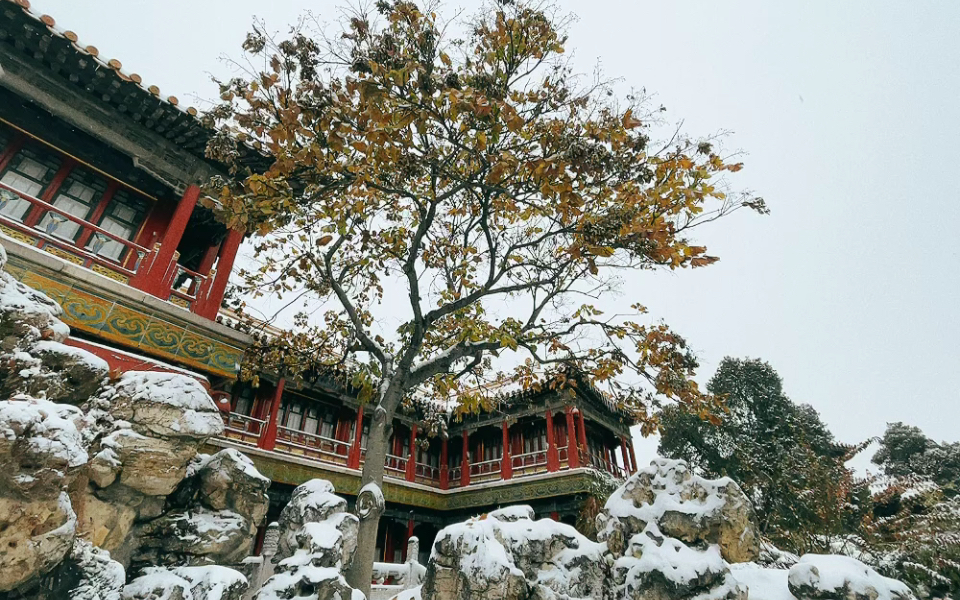 故宫|御花园|雪|北京