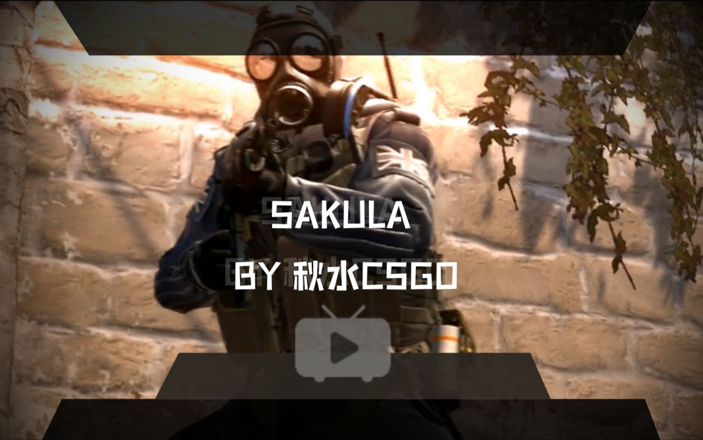 【CSGO】CS界的李荣浩前世界冠军sakula个人集锦哔哩哔哩bilibili