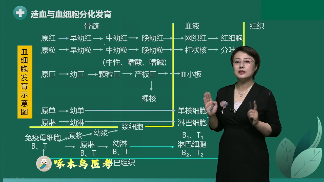 [图]检验职称2024年初级检验师考试 血液学检验