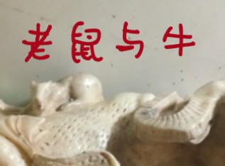 鼠和牛交接图片图片