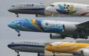 Video herunterladen: 10.6青岛拍机 南航“世赛号”终于收入囊中！川航大运会A350及国际宽体日常到访