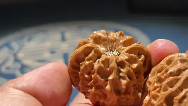 年末セール中！文玩核桃 龍门涧 龙门涧核桃-哔哩哔哩_Bilibili