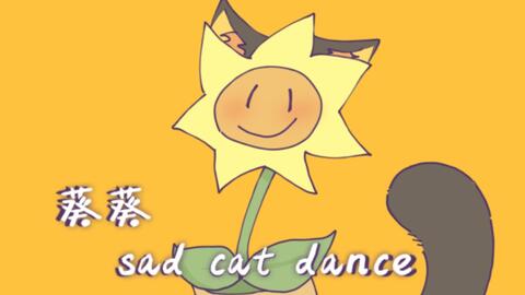 sad cat dance。_哔哩哔哩_bilibili