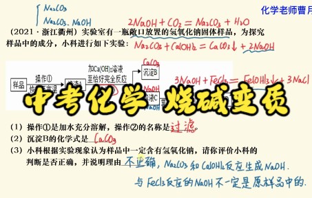 [图]中考化学必会 烧碱变质 实验探究 流程分析