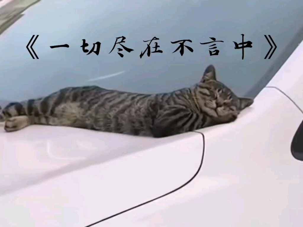 《一切尽在不言中》