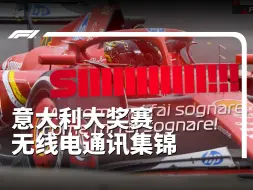 Télécharger la video: SIIIIIIIIIIII！！！【2024赛季F1意大利大奖赛TR集锦】