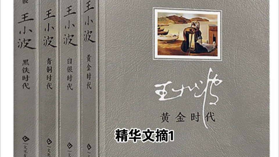 《王小波时代四部曲》精华文摘1哔哩哔哩bilibili