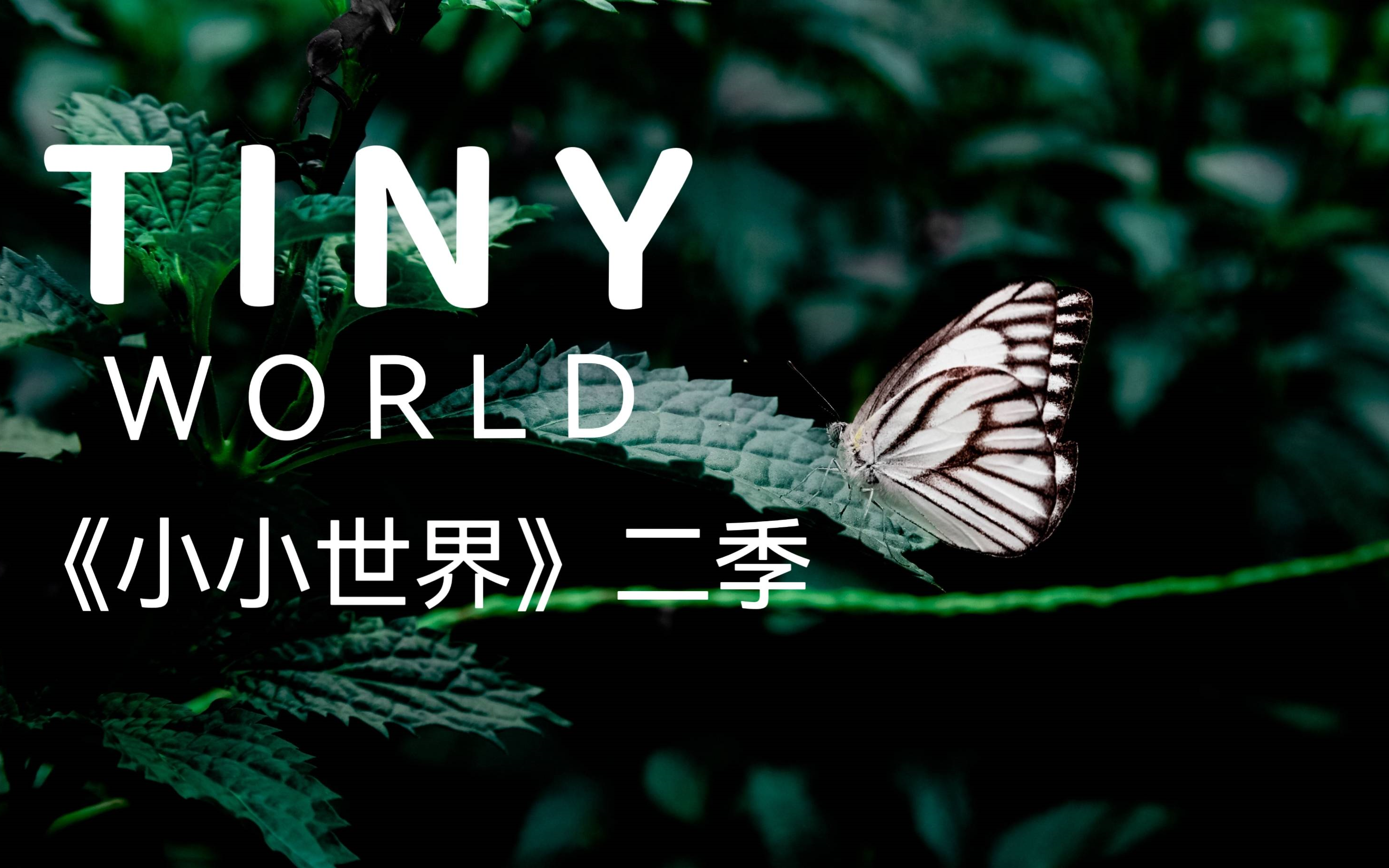 [图]【纪录片】超燃！《Tiny World》小小世界 第2季中英文版（全6讲）4K画质